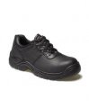 Dickies Clifton shoe (FA13310) Black